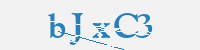 보안문자